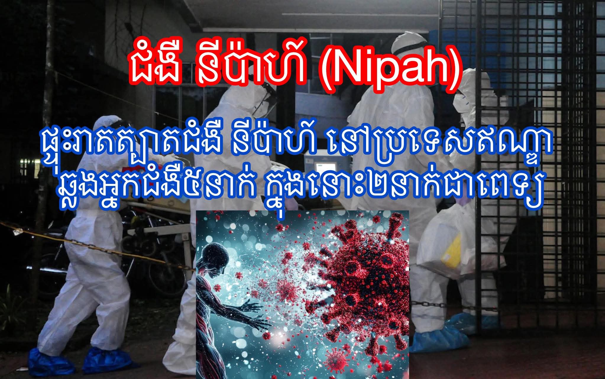ប្រទេសកម្ពុជាមិនទាន់រកឃេីញ​ ជំងឺនីប៉ាហ៍​ កេីតលេីមនុស្សនៅឡេីយទេ​