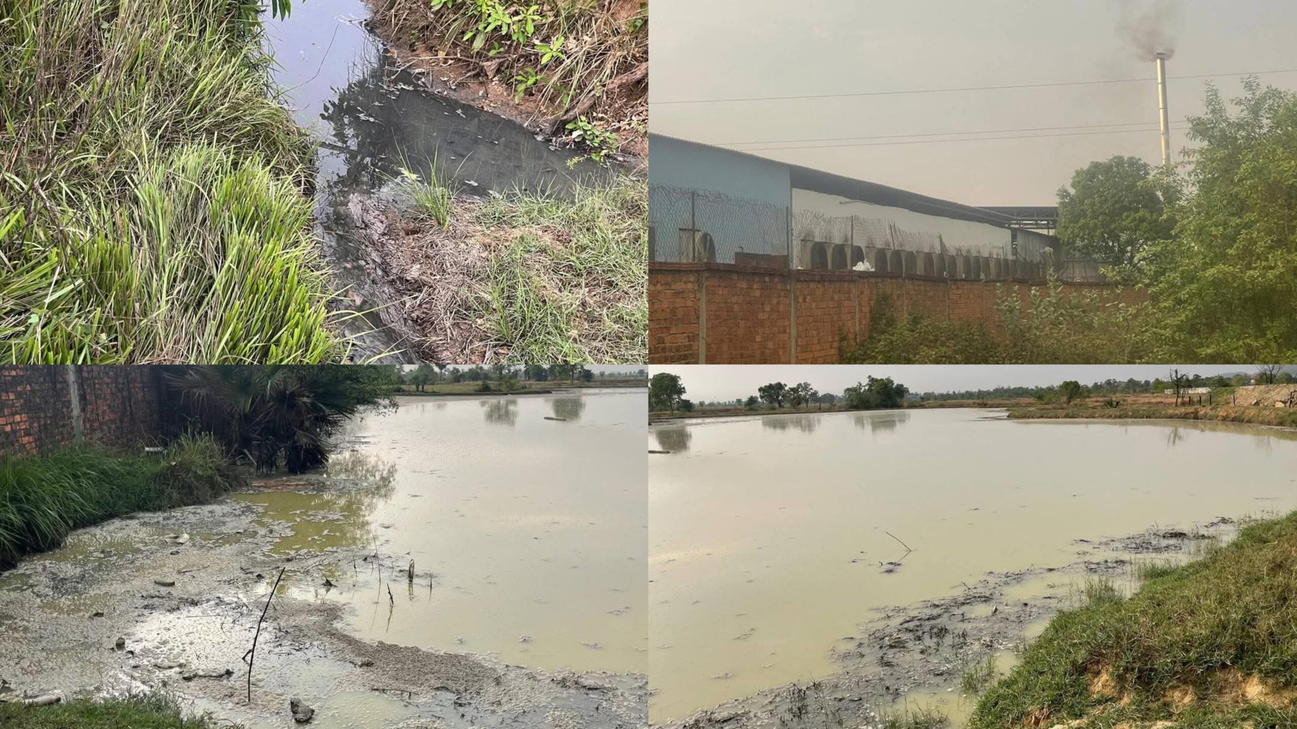 រកឃើញរោងចក្រកែច្នៃផ្លែឈើហ្គូប៊ីនហ្វេន ស្ថិតនៅស្រុកភ្នំស្រួច បង្ហូរទឹកស្អុយរំខានការរស់នៅដល់ពលរដ្ឋ