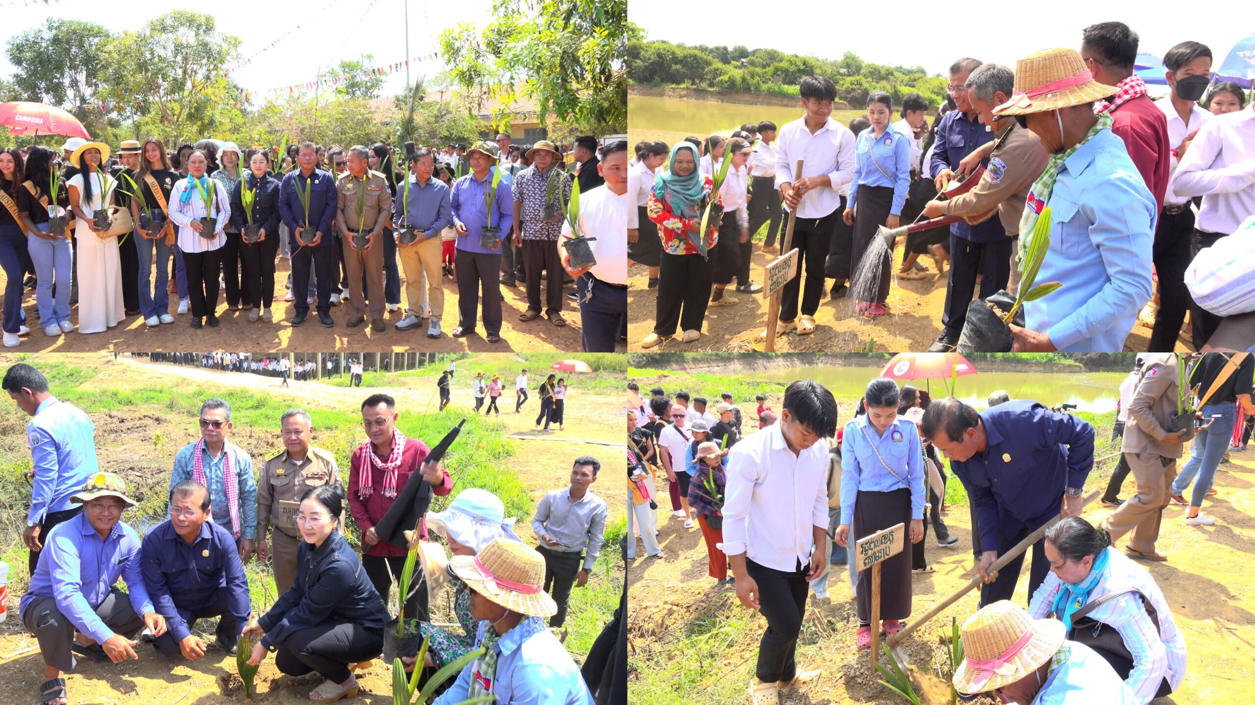 កូនត្នោត ៤០០ដើម ត្រូវបានដាំក្នុងសហគមន៍កំពង់ឃ្លាំង ដើម្បីលើកកម្ពស់វិស័យបៃតង និងការអភិវឌ្ឍទេសចរណ៍ប្រកបដោយចីរភាព