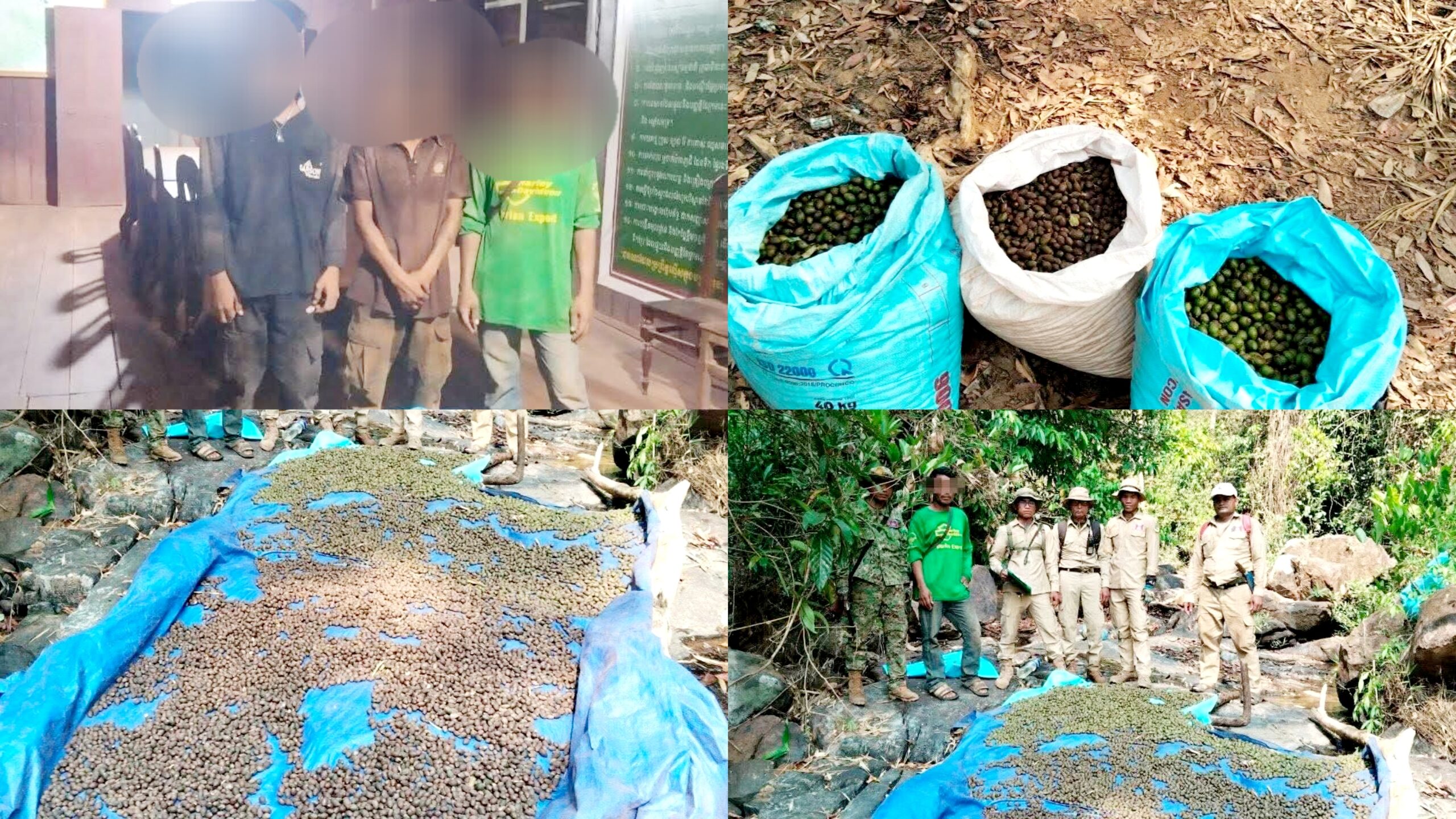 ចាប់ខ្លួនមនុស្សបីនាក់ ៣នាក់បញ្ជូនទៅតុលាការ ករណីកាប់ដើម ប្រមូលផ្លែសំរ៉ង ក្នុងតំបន់ការពារធម្មជាតិ