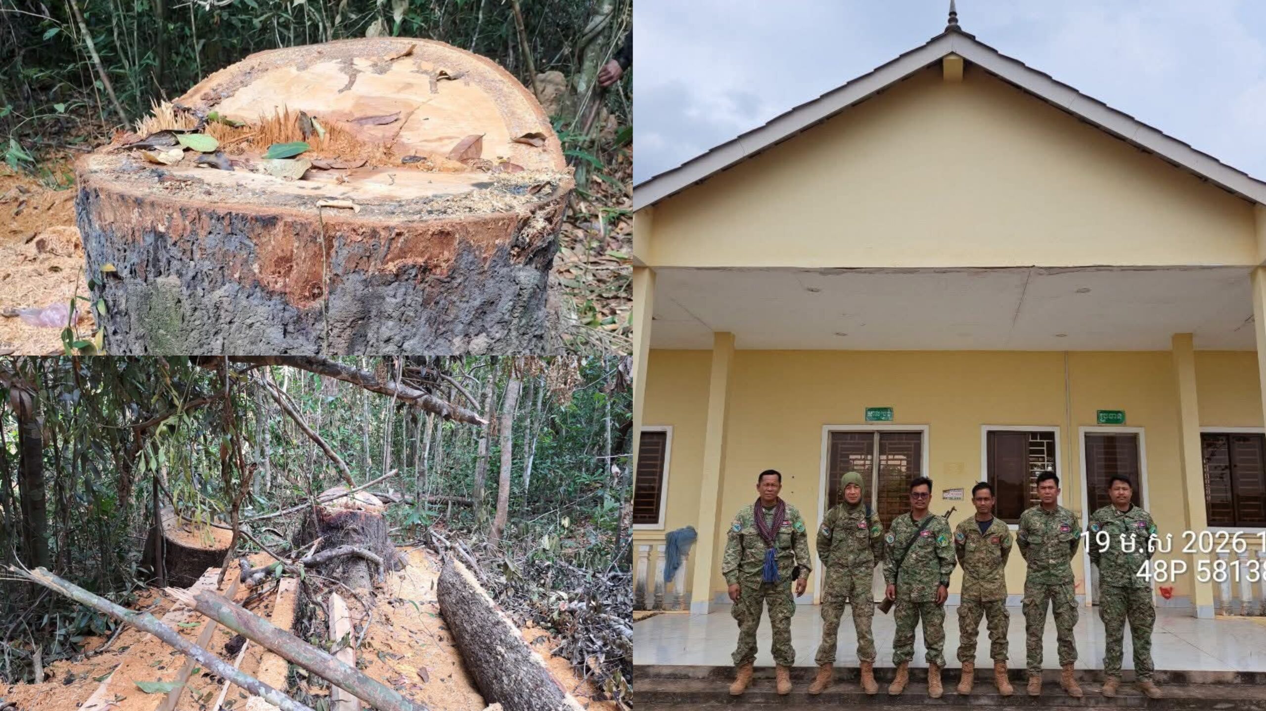 ក្រសួងបរិស្ថានអះអាងថា អនុវត្តតាមច្បាប់ ចំពោះអ្នកលួចកាប់ឈើក្នុងតំបន់«ព្រៃឡង់»