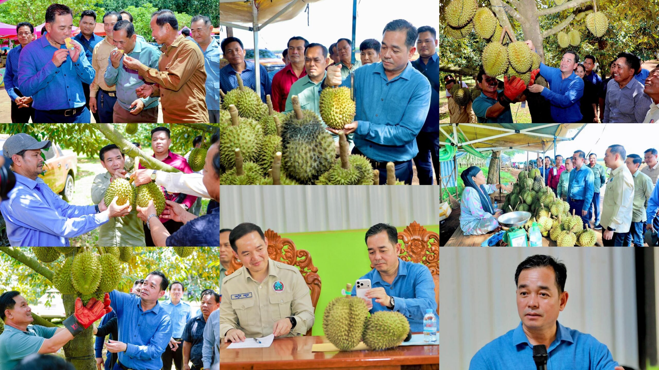 ដំណឹងល្អសម្រាប់អ្នកនិយមគាំទ្រ «ទុរេនបែកអន្លូង» ស្រុកស្ទឹងត្រង់! លែងព្រួយបារម្ភចំពោះទុរេនក្លែងបន្លំ