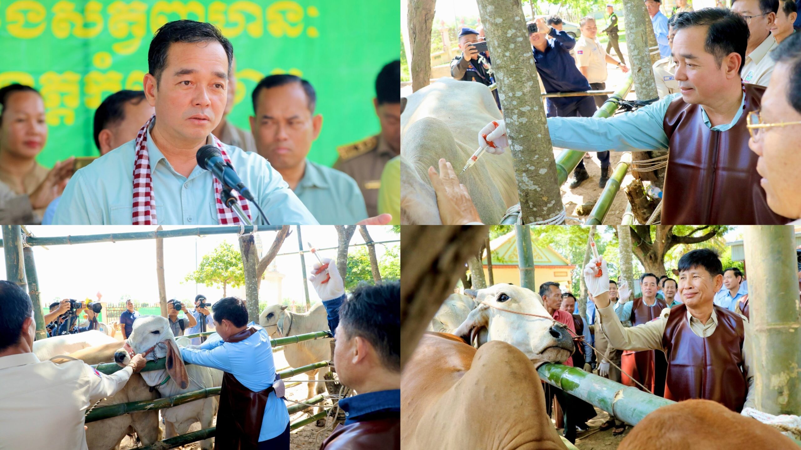 អភិបាលខេត្តកំពង់ចាម បើកយុទ្ធនាការចាក់វ៉ាក់សាំងការពារជំងឺសត្វពាហនៈ ឆ្នាំ២០២៦