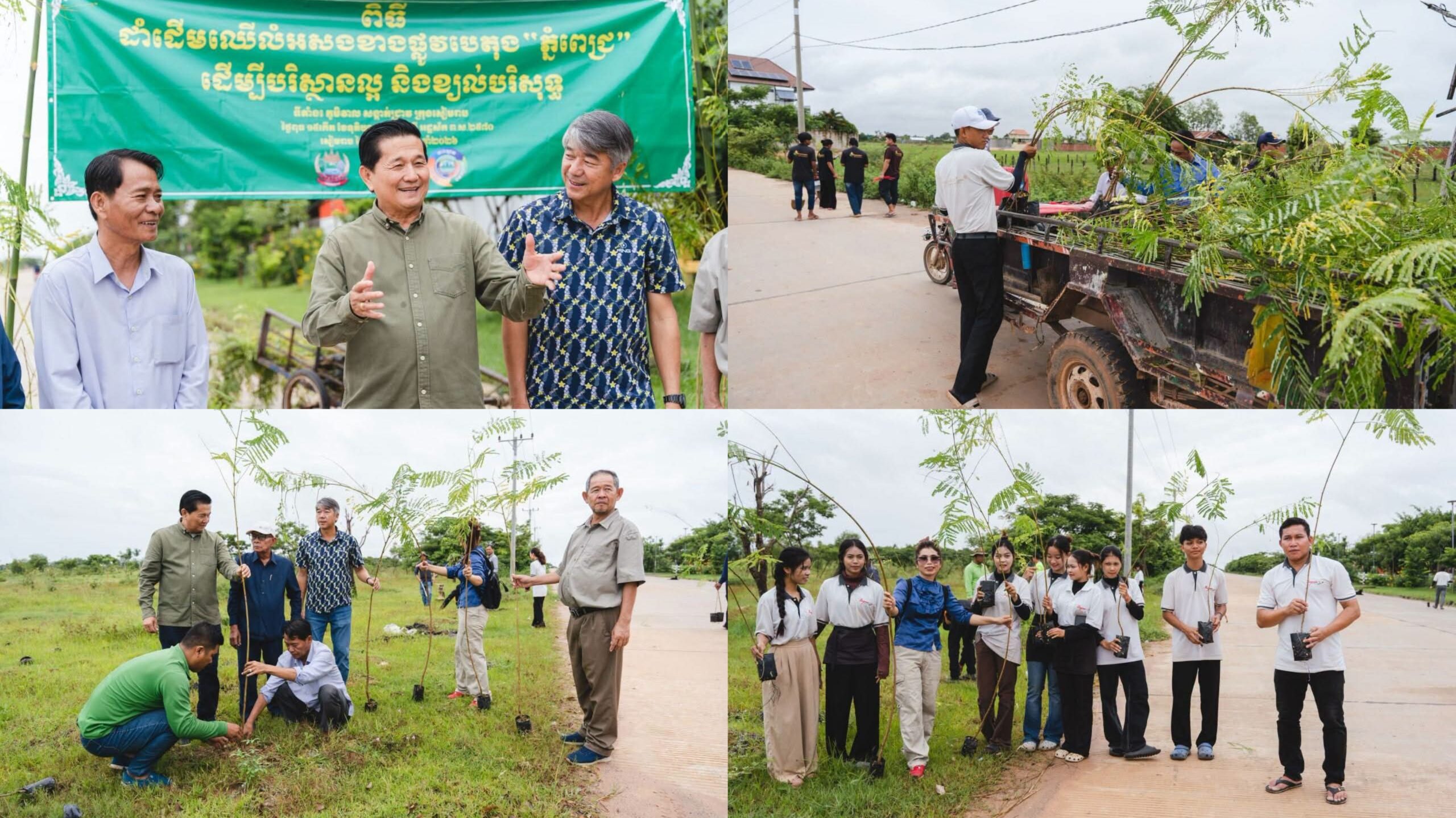 ដាំដើមក្ងោក ២៥០០ដើម តាមដងផ្លូវបេតុង “ភ្នំពេជ្រ” ក្នុងភូមិសាស្ត្រសង្កាត់ជ្រាវ