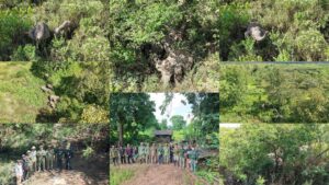 ក្រុមមន្ត្រីតាមដានដិតដល់ ក្រោយហ្វូងដំរីព្រៃចល័តពីស្រុកជាំក្សាន្ត មកដល់ស្រុកគូលែនក្នុងខេត្តព្រះវិហារ